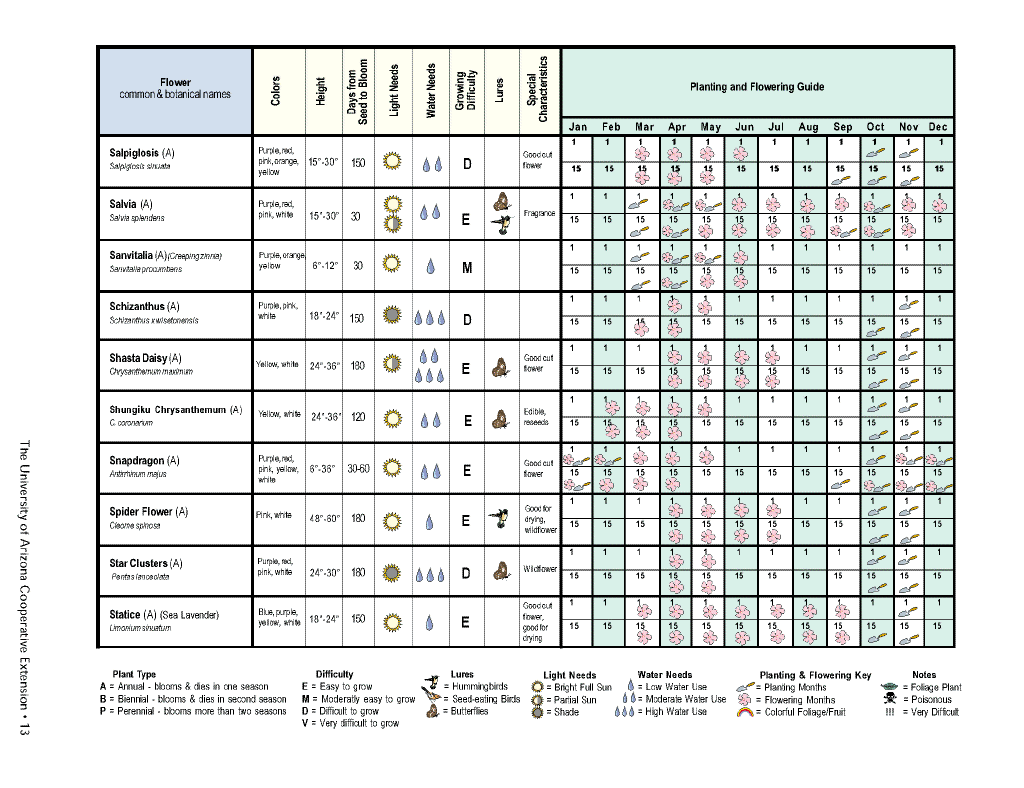 Flower planting calendar13